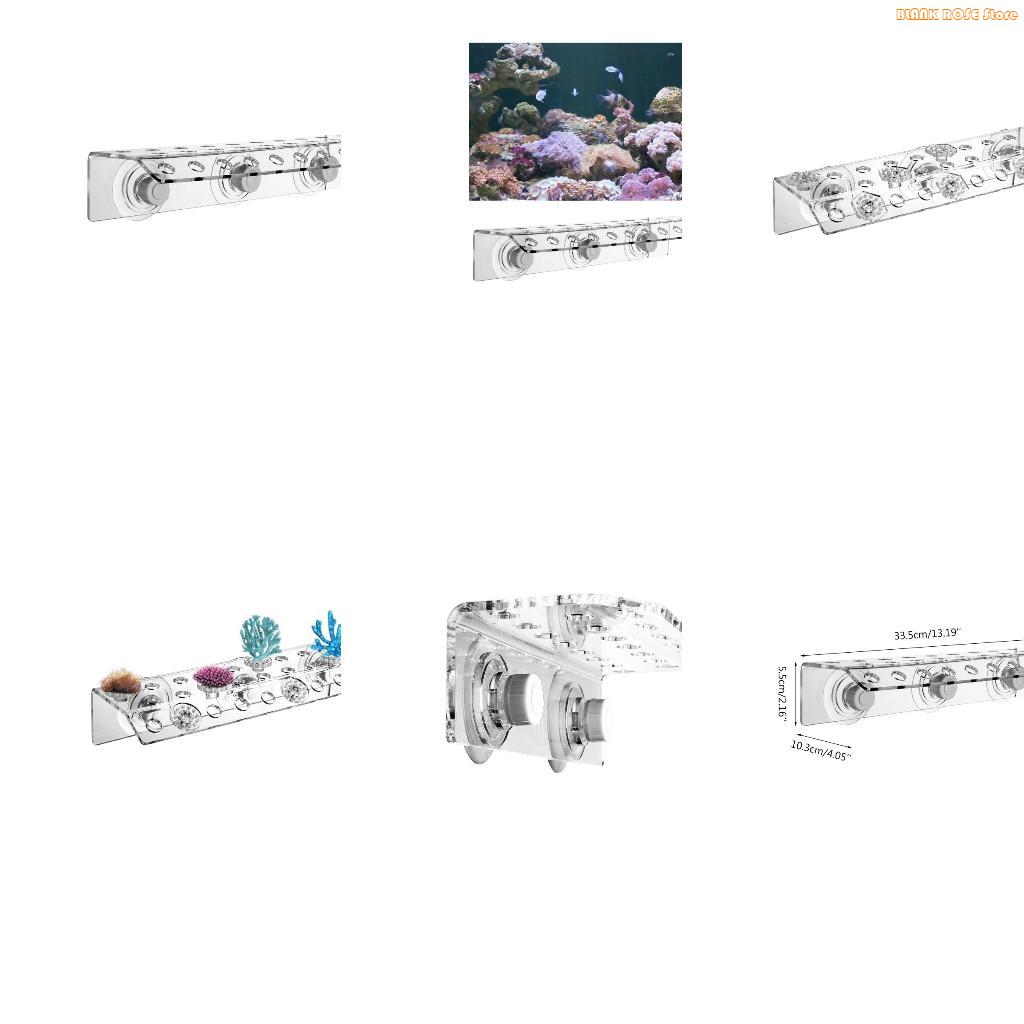 Reef Aquarium - K1AE Porta-frammenti per coralli in acrilico