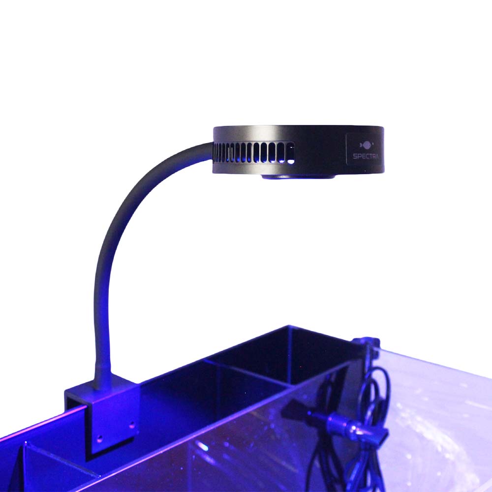 Reef Lighting - Aquaknight V2 Luce per barriera corallina