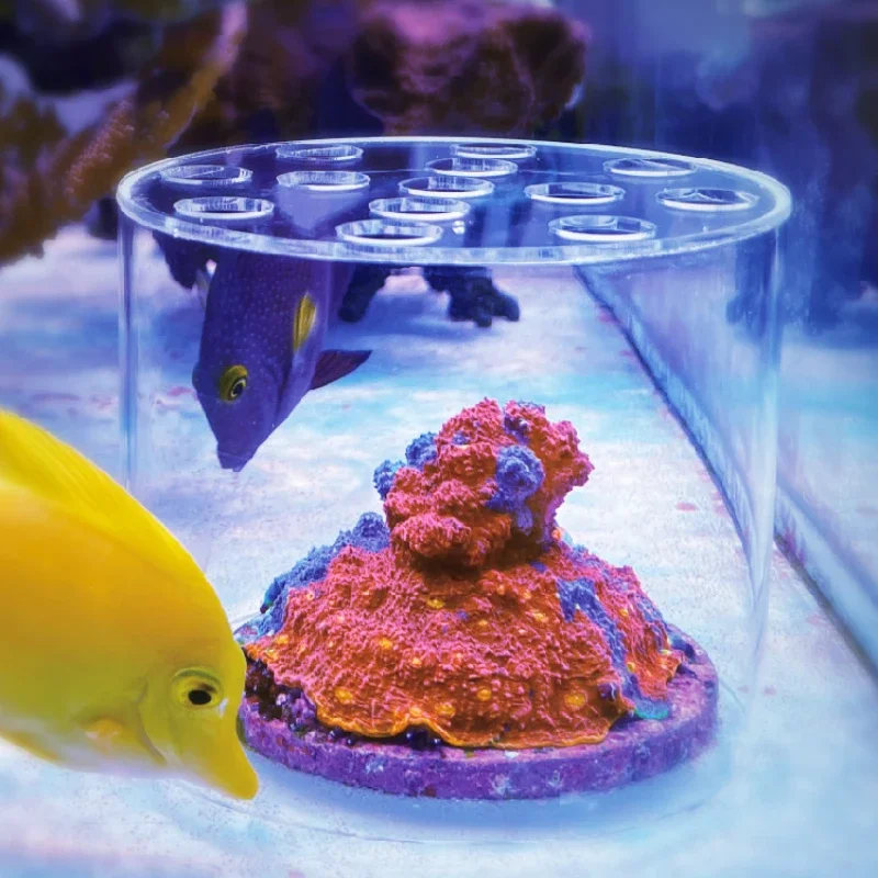 Reef Aquarium - Vastocean Acquario Acrilico Corallo Cappa Alimentatore