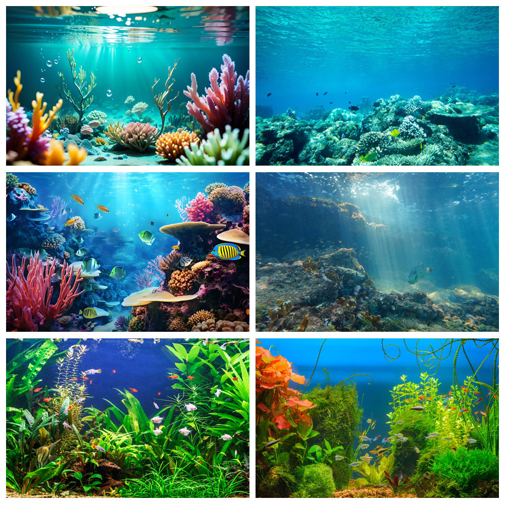 Aquarium Marine World - Sfondo fotografico per sfondo marino del