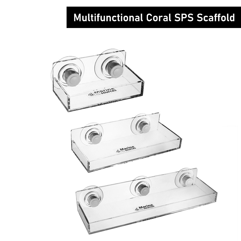 Marine Coral - Fonti Marine impalcatura multifunzionale in corallo