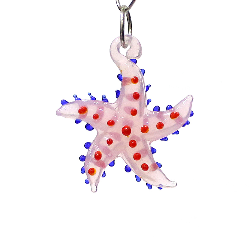 Marine Aquarium - Animali marini carini, fascino delle stelle