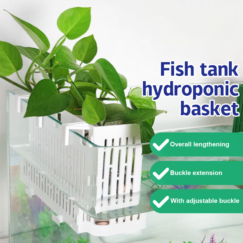 Marine Aquarium - 【F】Porta-piante sospeso per acquario, cestino idroponico