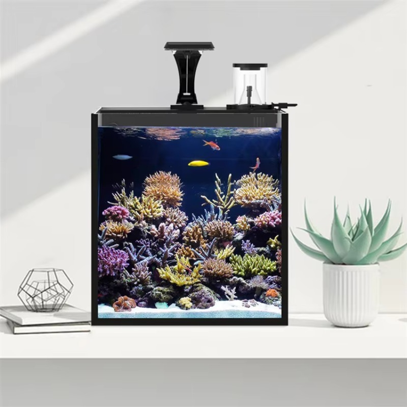Acquario Marino in Vetro Ultra - Marine Aquarium Cube recensione e prezzo