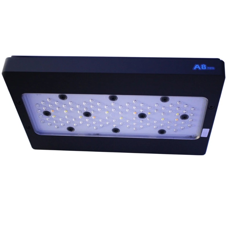 Luci LED per Barriera Corallin - Reef Lighting recensione e prezzo