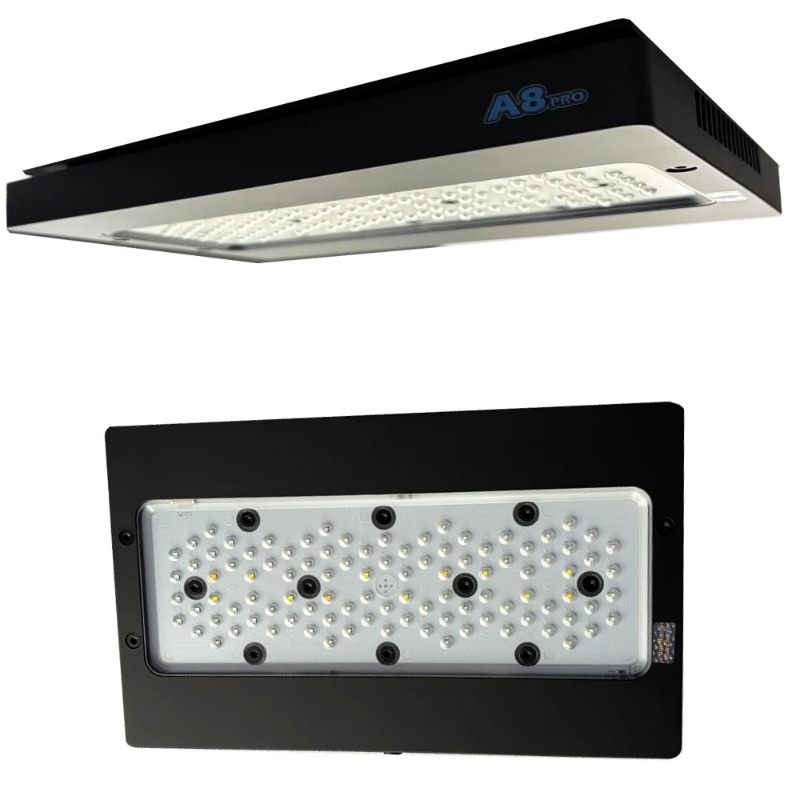 Luci LED per Barriera Corallin - Reef Lighting recensione e prezzo