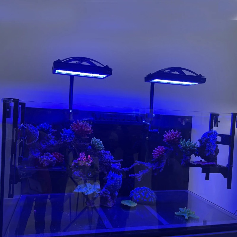 Luci LED per Barriera Corallin - Reef Lighting recensione e prezzo