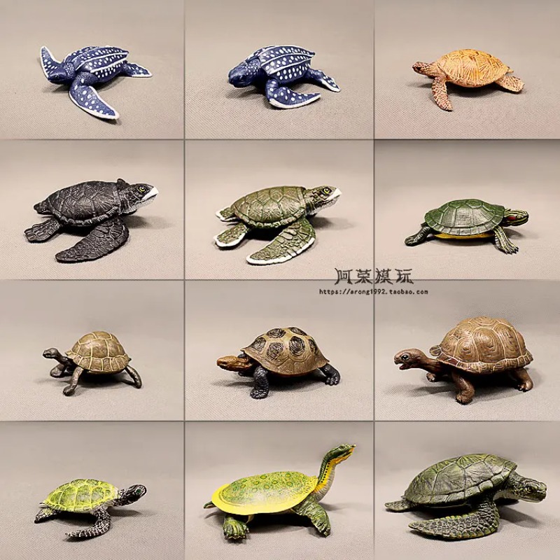 Leatherback Tartaruga dalle or - Ocean Aquarium recensione e prezzo
