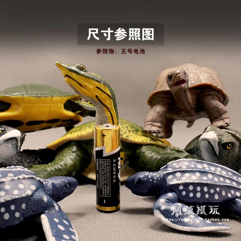 Leatherback Tartaruga dalle or - Ocean Aquarium recensione e prezzo