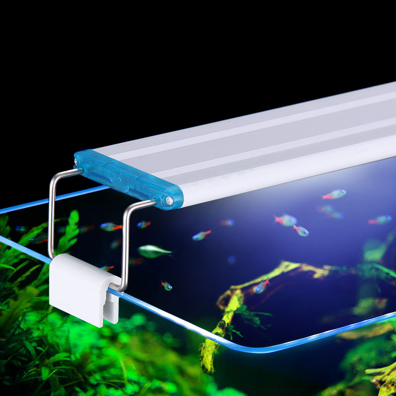 Clip impermeabile estensibile  - Aquarium Marine Lights recensione e prezzo