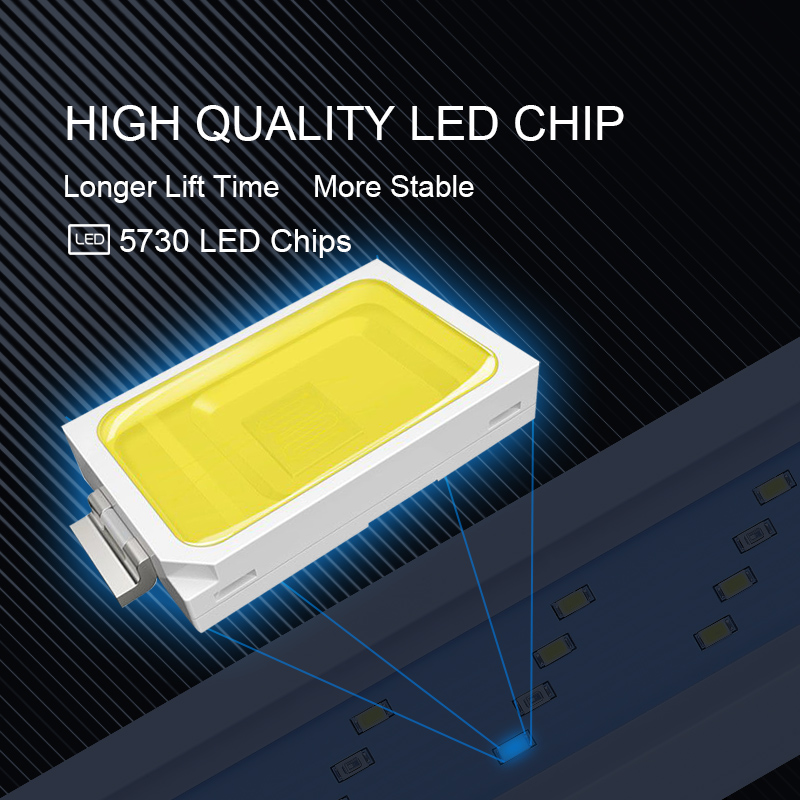 Clip impermeabile estensibile  - Aquarium Marine Lights recensione e prezzo