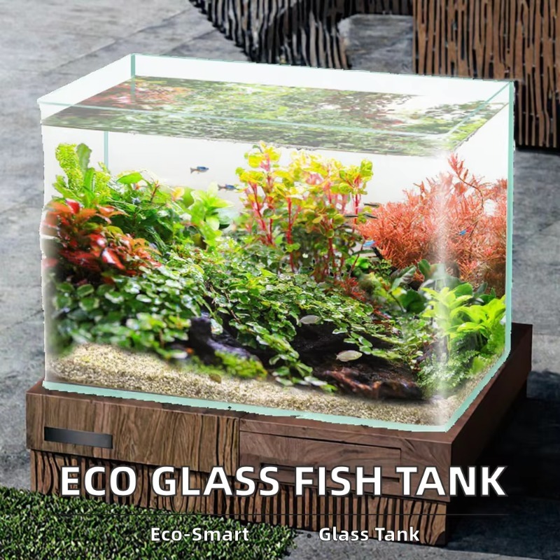 Scatola da imballaggio per acq - Saltwater Tank recensione e prezzo