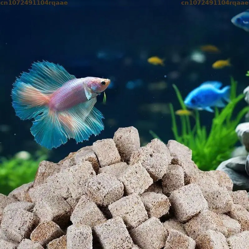 Cubetti di larve di sangue lio - Marine Aquarium Cube recensione e prezzo