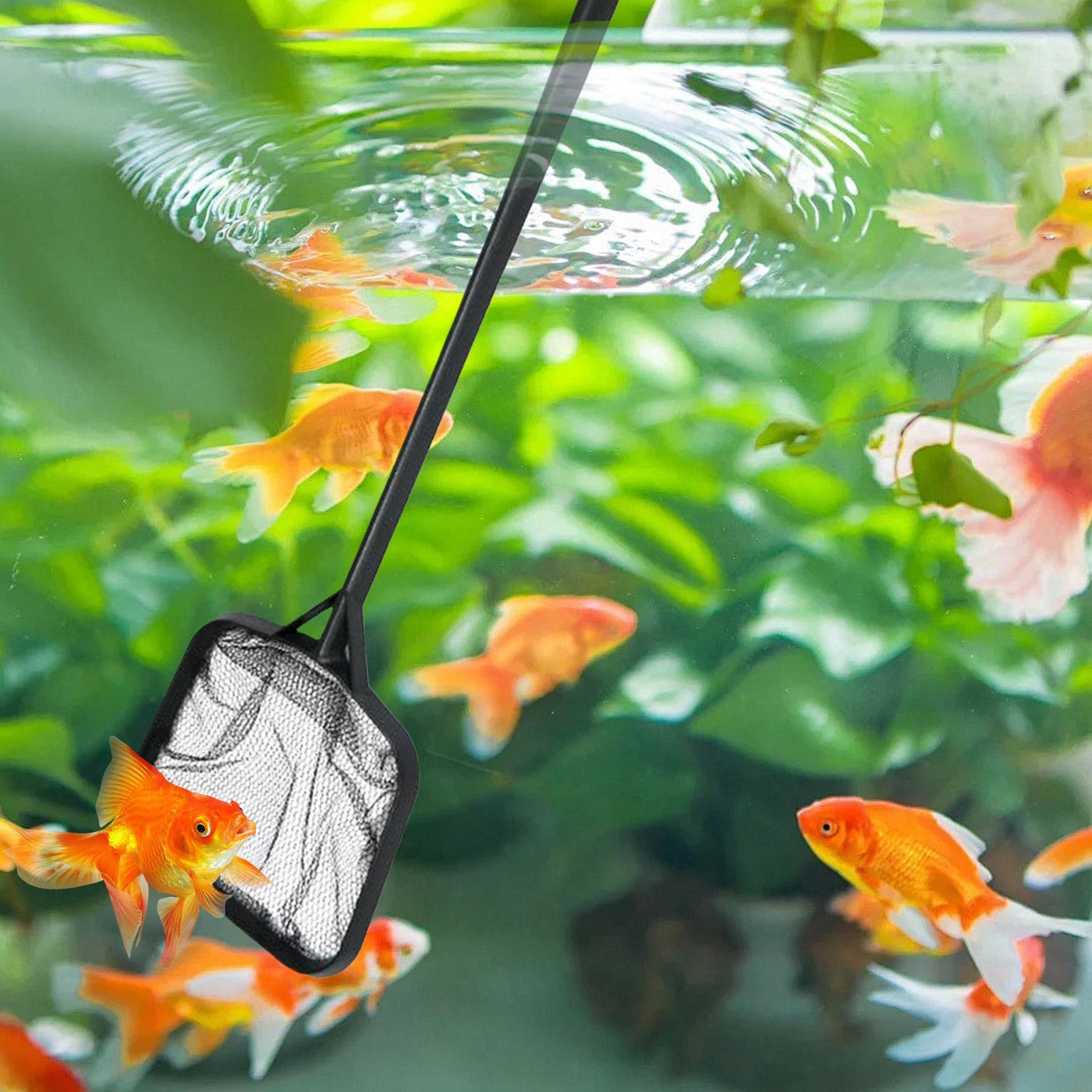 Reti per la Pulizia della Pisc - Ocean Aquarium recensione e prezzo