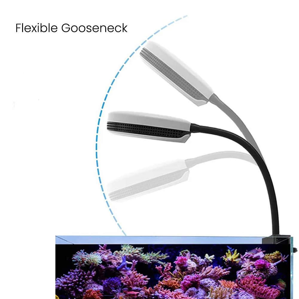 Lampada LED per Acquario Spect - Reef Lighting recensione e prezzo