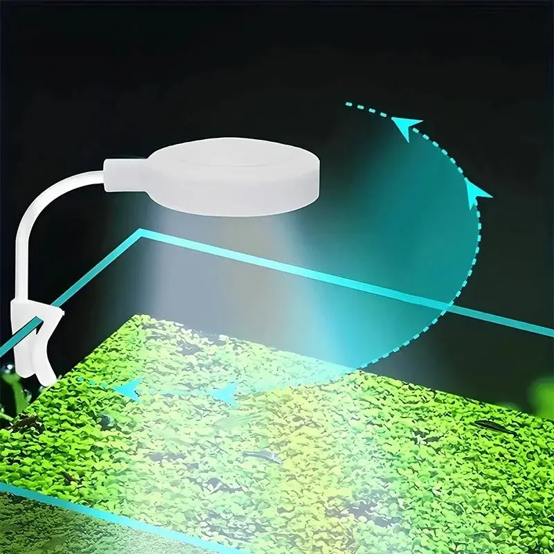 Luce per acquario con adattato - Aquarium Marine Lights recensione e prezzo