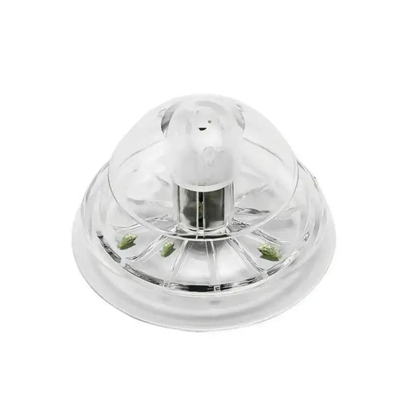 Nuova Trappola per Lumache in  - Ocean Aquarium recensione e prezzo