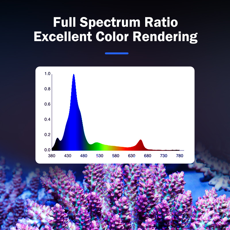 Lampada LED KASSRAY T169/T215  - Reef Aquarium recensione e prezzo