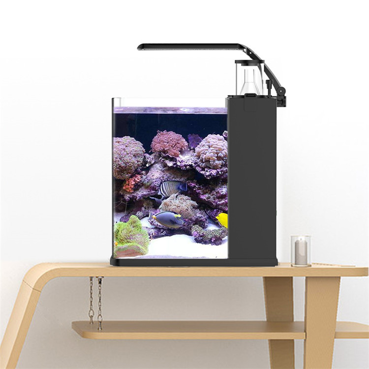 Skynuo Mini Acquario Marino in - Marine Aquarium Cube recensione e prezzo