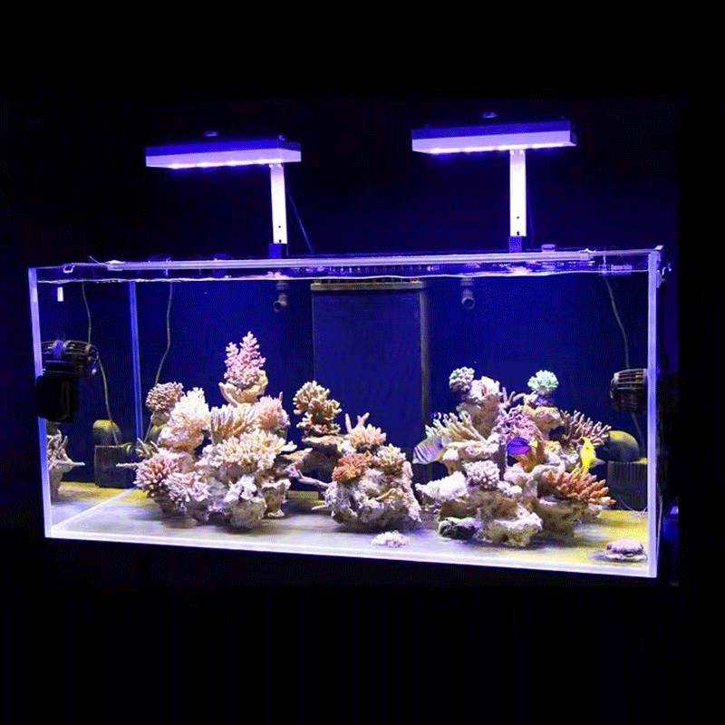 Luce LED Aqua Illumination AI  - Reef Lighting recensione e prezzo