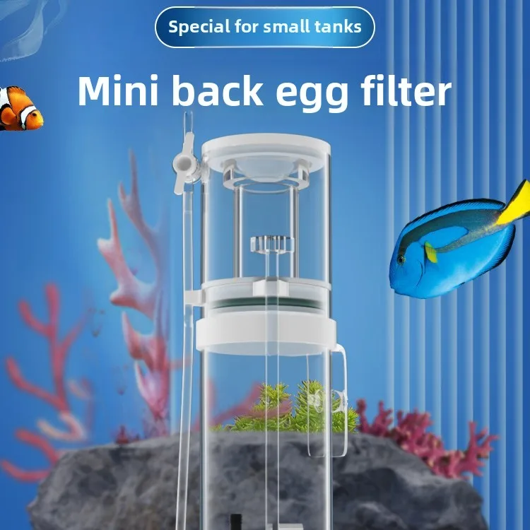 Nuovo Mini Separatore di Prote - Reef Tank Filter recensione e prezzo