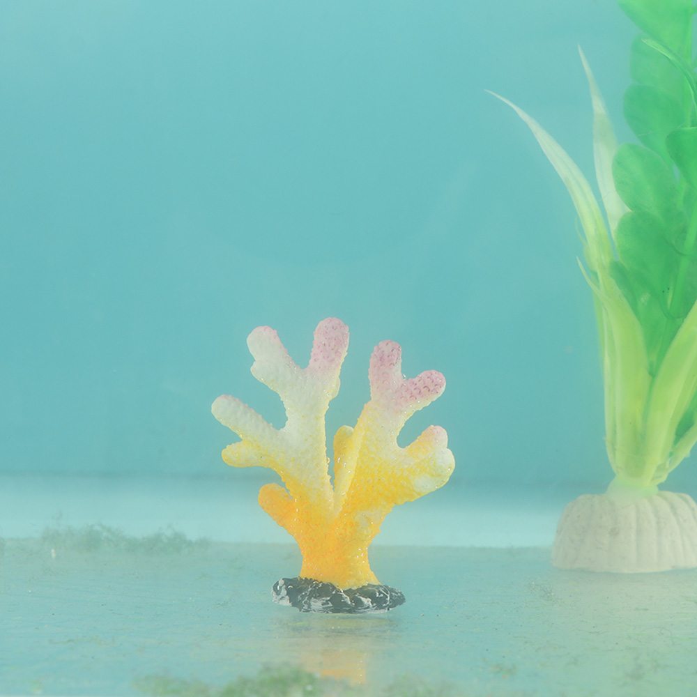 Artificiale Corallo Serbatoio  - Reef Aquarium recensione e prezzo