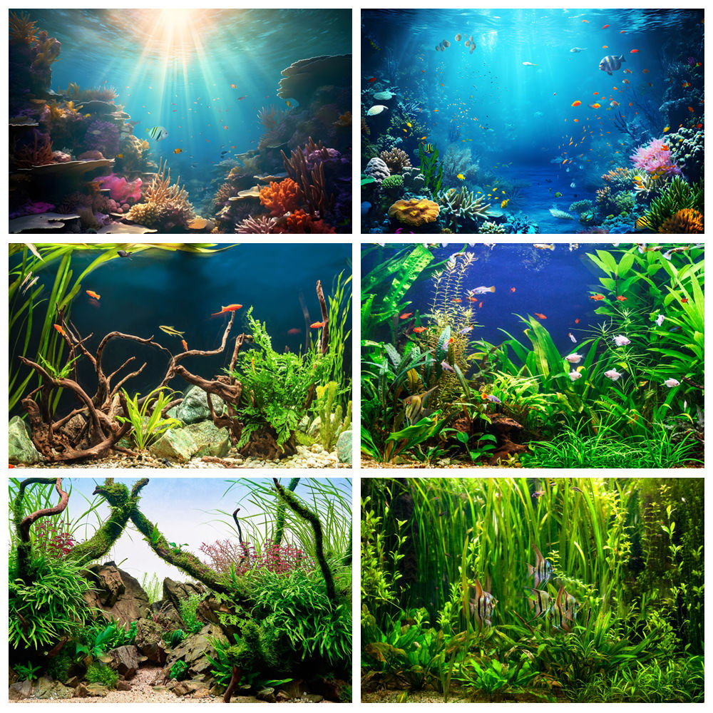 Sfondo fotografico sotto il mo - Aquarium Marine World recensione e prezzo