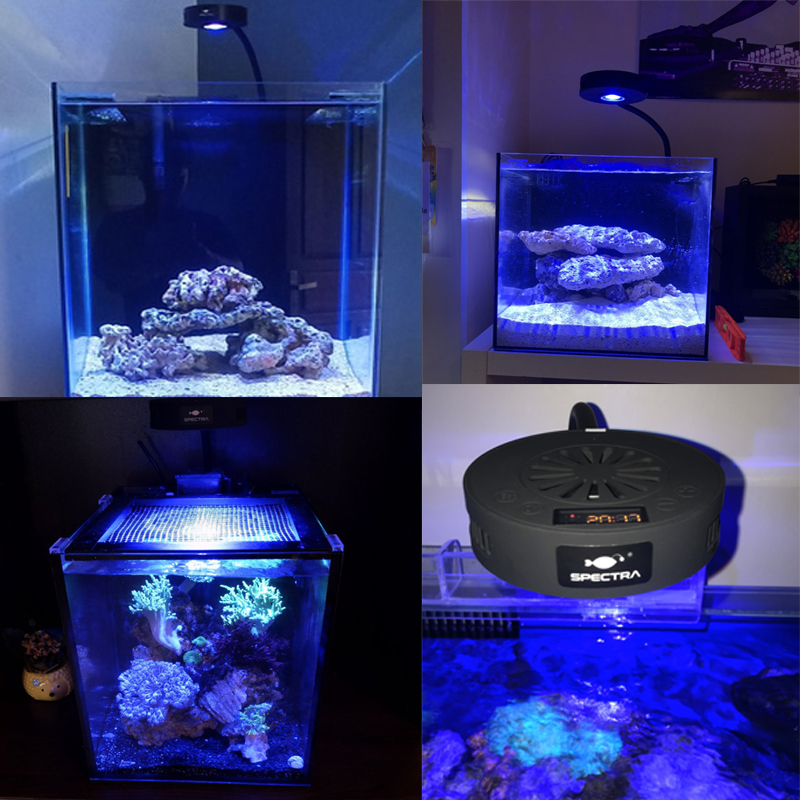 Aquaknight V2 Luce per barrier - Reef Lighting recensione e prezzo