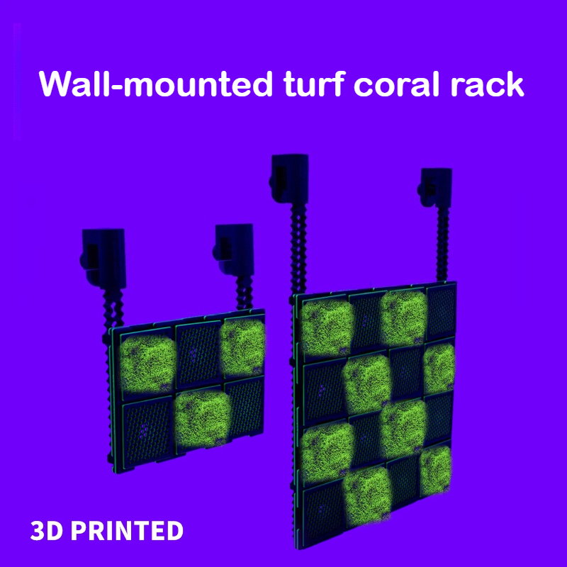 Supporto per Coralli Fai-da-te - Saltwater Tank recensione e prezzo