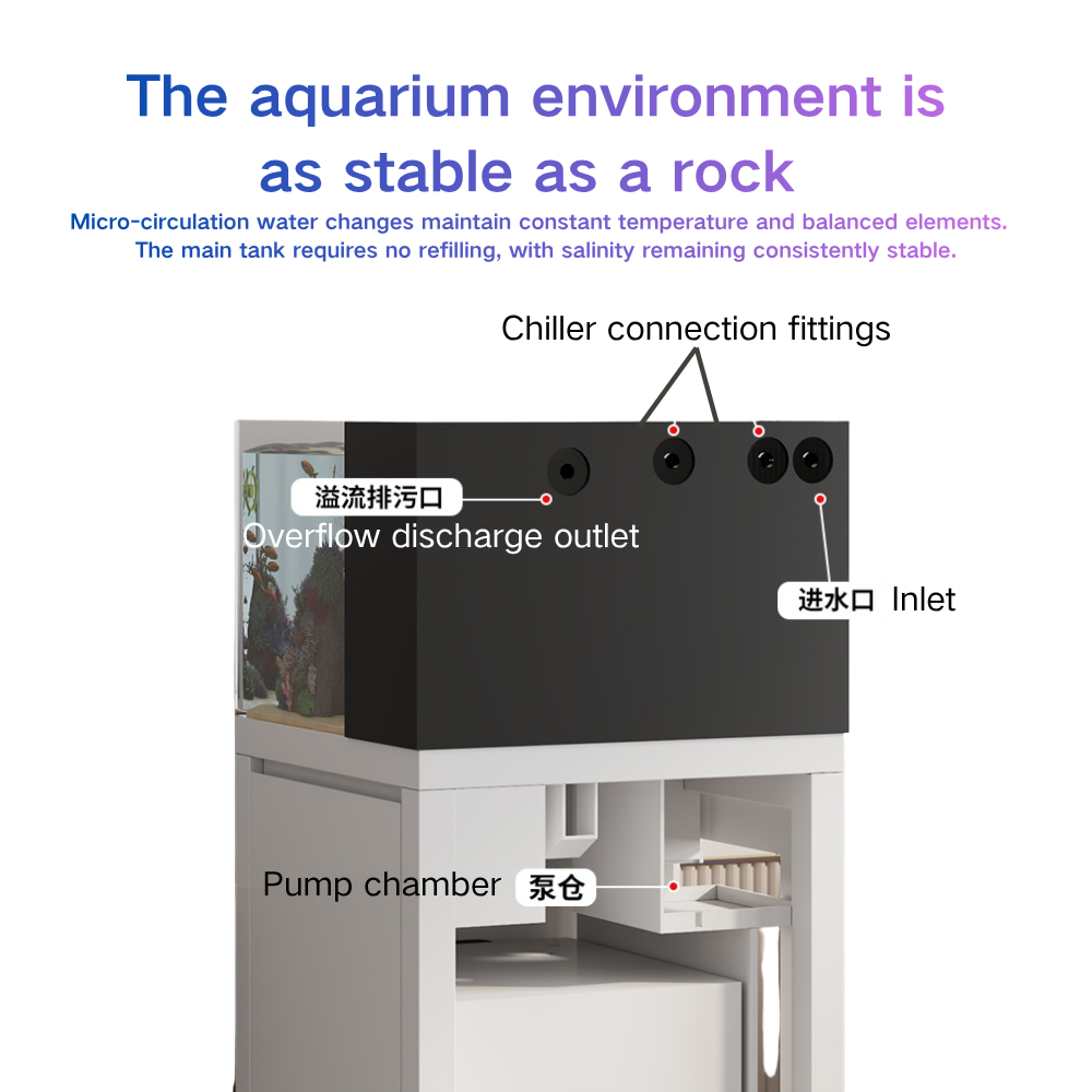 Acquario Intelligente Paopaosh - Marine Aquarium Cube recensione e prezzo