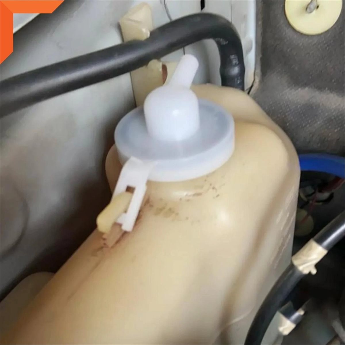 # Tappo Radiatore 37H, Coperch - Saltwater Tank recensione e prezzo