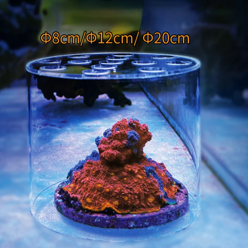 Vastocean Acquario Acrilico Co - Reef Aquarium recensione e prezzo
