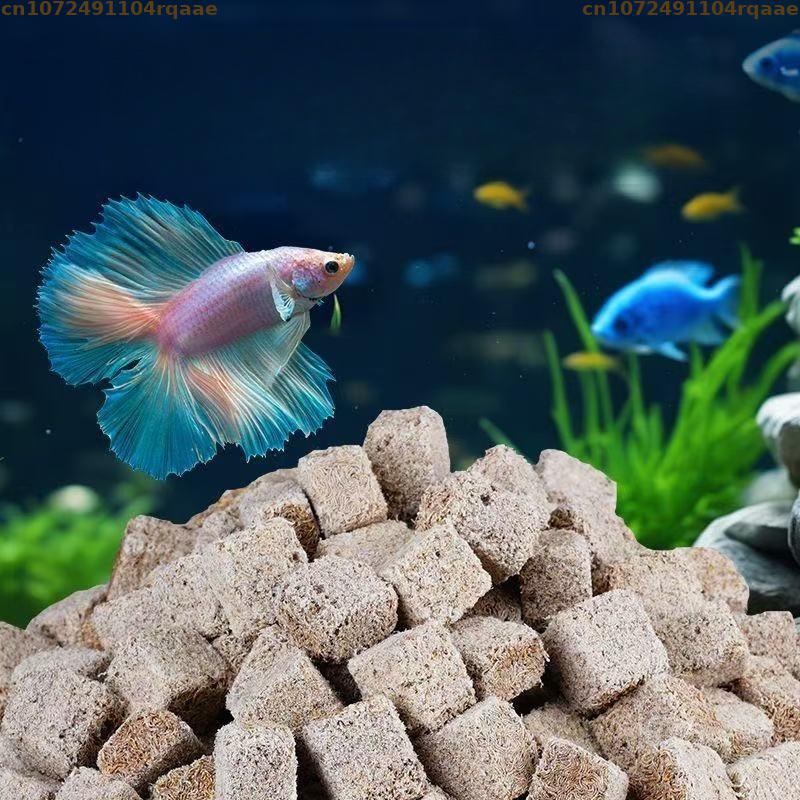 Cubetti di larve di sangue lio - Marine Aquarium Cube recensione e prezzo