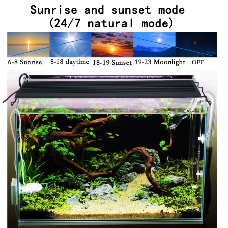 Lampada LED per Acquario a Spe - Reef Lighting recensione e prezzo