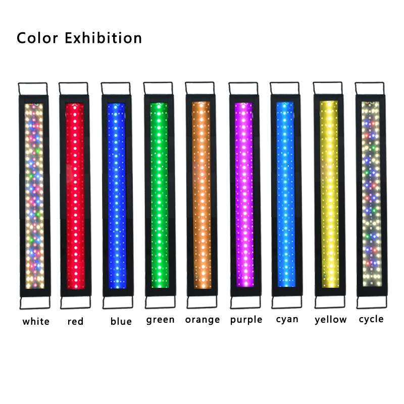 Lampada LED per Acquario a Spe - Reef Lighting recensione e prezzo