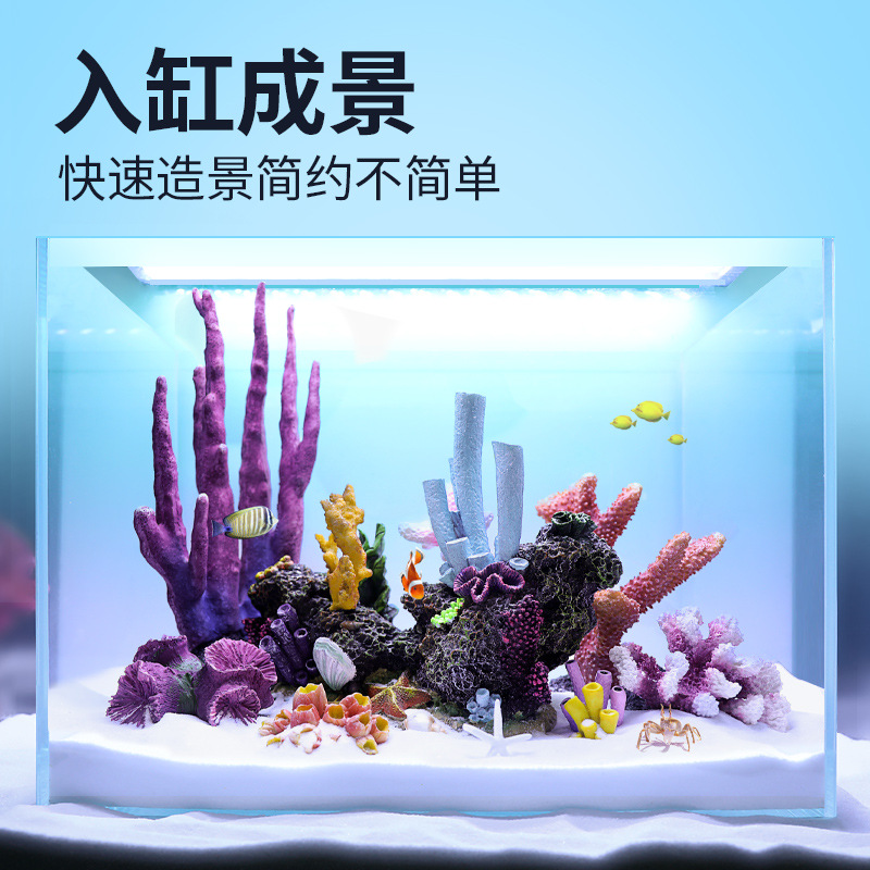 Pacchetto Paesaggistico con Co - Marine Aquarium Epoxy recensione e prezzo