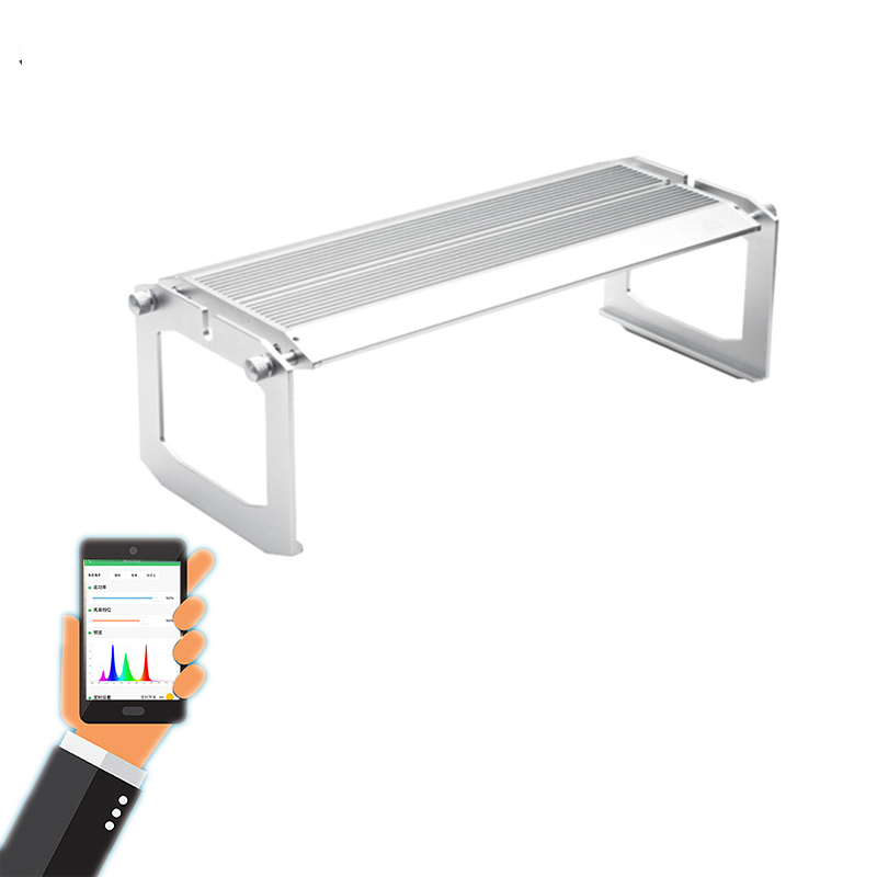 WEEK AQUA Luce LED Vivida per  - Reef Lighting recensione e prezzo
