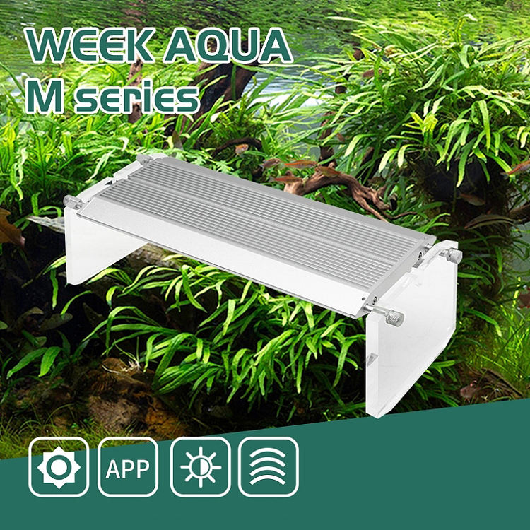 WEEK AQUA Luce LED Vivida per  - Reef Lighting recensione e prezzo