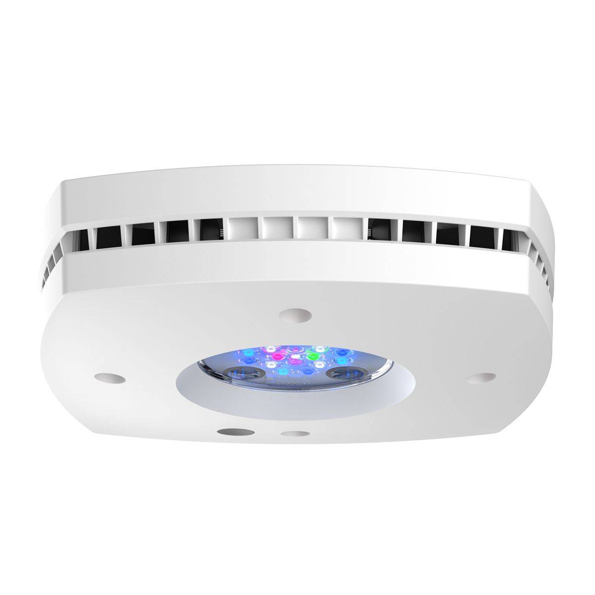 Luce Reef LED Prime 16 HD, sta - Reef Lighting recensione e prezzo