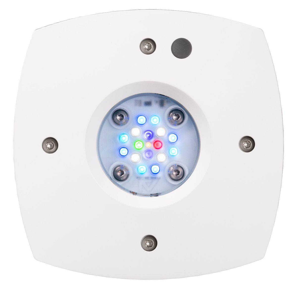 Luce Reef LED Prime 16 HD, sta - Reef Lighting recensione e prezzo