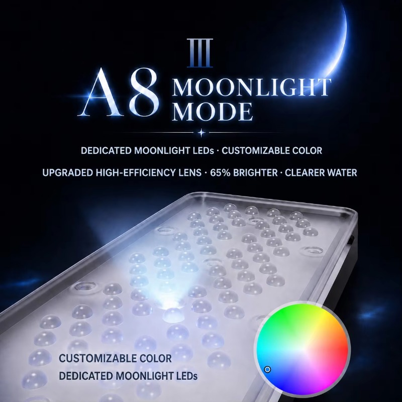 AIPAI Serie A8 III A8SE/A8 Pro - Marine Aquarium recensione e prezzo