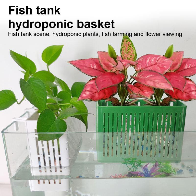 【F】Porta-piante sospeso per ac - Marine Aquarium recensione e prezzo